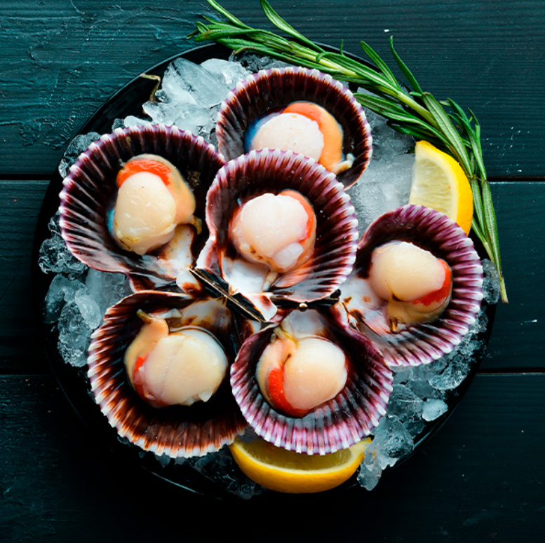 Ostión media concha con coral